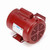 Leeson 116486 0.5 HP Motor 1725 RPM 115/230V TEFC