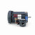 Leeson 116606.00 0.33 HP Explosion Proof Motor 1725 RPM