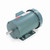 Leeson 121968.00 3 HP Motor 230/460V 3-Phase TEFC