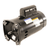 Century Motors B2854V1 Pool Pump Motor 1.5 HP 115/230V