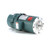 Leeson 119564.00 Brake Motor 1 HP 3-Phase 1760 RPM 230/460V
