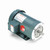Leeson 121673.00 Motor 2 HP 3-Phase TEFC 3490 RPM