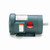 Leeson 121673.00 Motor 2 HP 3-Phase TEFC 3490 RPM