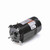 Regal Rexnord T3072 Pool Pump Motor 0.75 HP 3-Phase 208-230/460V