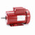 Leeson 110090.00 2 HP Motor 230V 1725 RPM TEFC