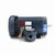 Leeson 116616.00 Motor 2 HP 1-Phase TEFC 3450 RPM