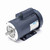 Leeson 121008.00 Motor 2 HP 115/230V 3450 RPM