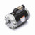 Century B122 Pool Pump Motor 1 HP 115/230V
