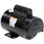 Century B2235 Pool Pump Motor 4 HP 230V 3450/1725 RPM
