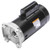 Regal Rexnord B2842 Pool Pump Motor 1.5 HP 208-230V
