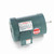 Leeson 119453.00 Jet Pump Motor 1.5 HP 3-Phase