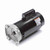 Century B2859 Pool Pump Motor 2 HP 115/230V 3450 RPM
