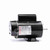 Century BN34V1 Pool Pump Motor 1.5 HP 230V 3450/1725 RPM