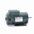 Leeson E116704.00 2 HP Motor 115/208-230V 1725 RPM