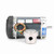 Marathon G870 Explosion Proof Motor 1 HP 1725 RPM