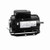 Century PD6104AV2 Poultry Fan Motor 1 HP 115/230V