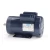 Leeson 120274.00 2 HP Motor 1740 RPM 115/230V TEFC