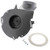 ICP 1014529 Draft Inducer Motor Assembly
