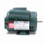 Leeson E100115.00 1/4 HP Motor 115/230V 1725 RPM