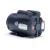 Leeson 116709.00 Pressure Washer Motor 5 HP 230V 56HC