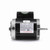 Century B657 Pool and Spa Motor 1/2 HP 208-230/115V