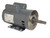 Regal Rexnord P123 Close-Coupled Pump Motor 1.5 HP 230/115V