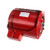 Armstrong 817025-005 Circulator Motor 1/6 HP 115V