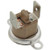 York S1-025-32655-000 Temperature Control Switch 190°F