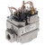 Carrier EF32CW233 Natural Gas Valve 24V 1/2"x3/4