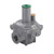 Fiorentini 31151-2BP 3/4" Balanced Valve 5" Diaphragm