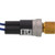 Johnson Controls P100AP-3C Pressure Switch 150/225 PSI