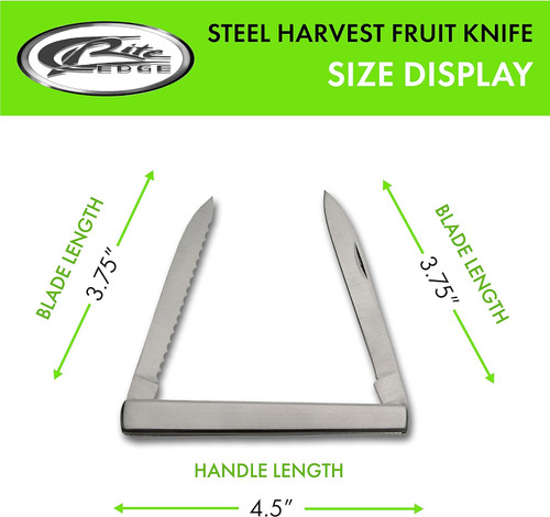210960 2 Blade Steel Harvest Fruit Knife Size