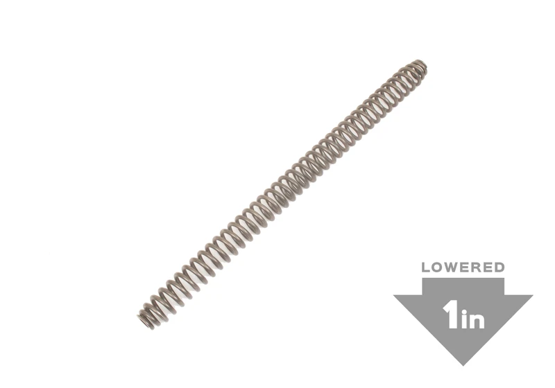 XTrainer 1" Lowering Kit Fork Springs