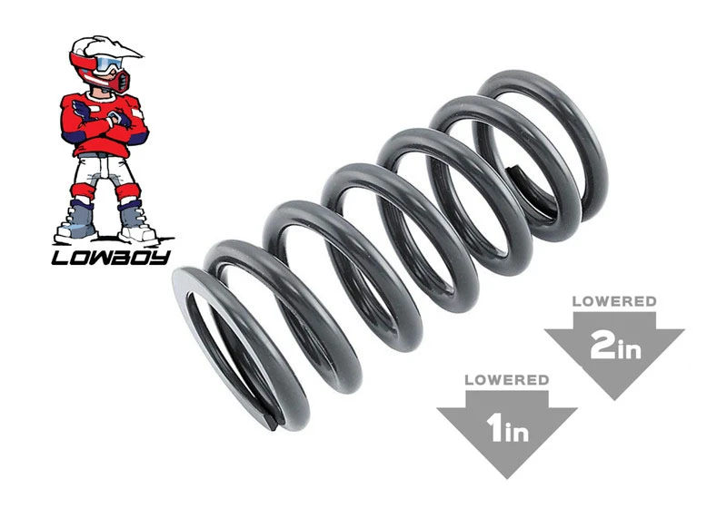  2020+ 4 Stroke Race Edition  1" & 2" Lowered Rear Spring