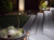 Alliance PL100 Path Light - Aged Brass