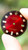 Rolex DateJust 36mm 116233 Red Vignette Dial 