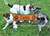 Custom Dog Signs Wood Carved Dogbone JGWoodSigns DukeJimmer