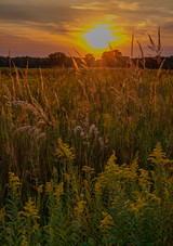big bluestem kaw big bluestem kaw