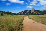 Mountain Pass - Native Grass Mixture Mountain Pass - Native Grass Mixture