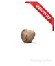 Oticon Siya 1 ITC custom hearing aid