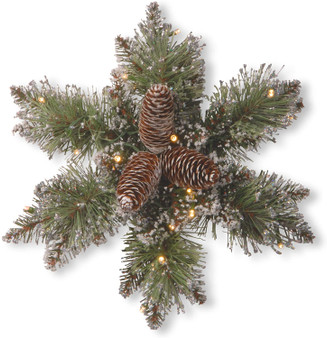 14" Glittery Bristle® Pine Snowflake With Cones & 15 Warm White Battery Operatedled Lights W/Timer Bat Pack 1/12-Reshippable Brown Box-42 Tips (Pack Of 2) (GB1-300L-14SB-1)