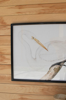 (Set Of 2) Framed Heron Prints Under Glass