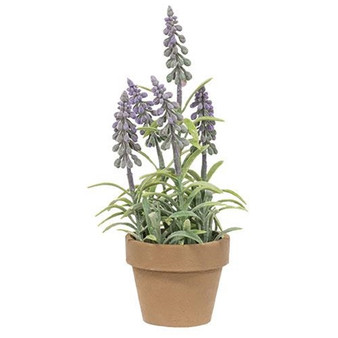 CWI Potted Mountain Bells Purple "FRA7145"