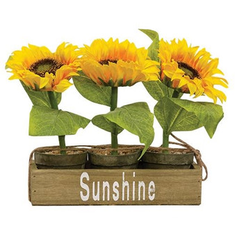 CWI 3/Set Potted Sunflowers In Wooden Crate "G2518550"
