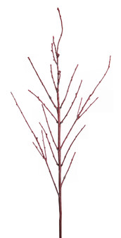 Red Twig Dogwood Branch (Set Of 12) 55"H Plastic 76237DS