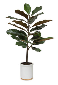 Potted Magnolia Plant 31"H Polyester/Ceramic 82029DS