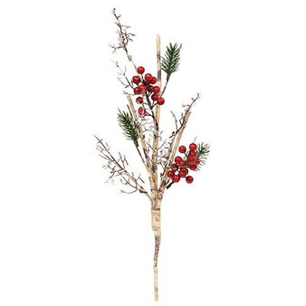 Snowy Birch Branch With Red Berries FT28056