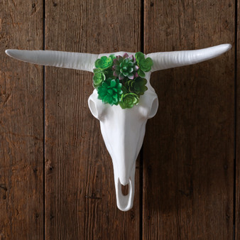 Longhorn Skull With Faux Succulents 680615