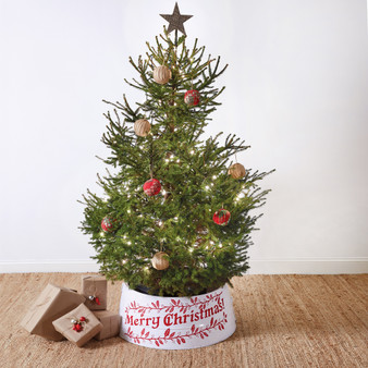 Merry Christmas Tree Collar 460351