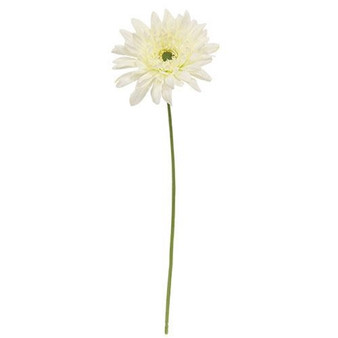 Blooming Daisy Stem White F18122